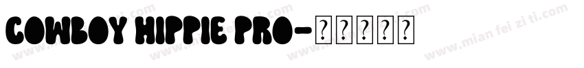 Cowboy Hippie Pro字体转换